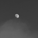 write-to-the-stars avatar