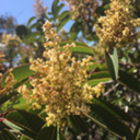 writerapprentice avatar