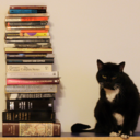 writersandkitties-blog-blog-blog avatar