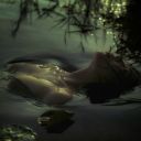 writersp3noldacc avatar