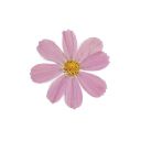 writhingchaos avatar