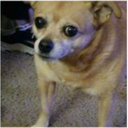 writing-iguess avatar