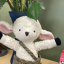 writing-is-my-sword avatar