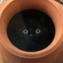 writing-to-the-moon avatar