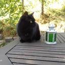 writingandwitching avatar