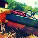 writingfrenzies avatar