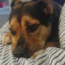 writingherhope avatar