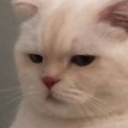 writinginspodump avatar