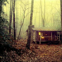 writinginthewoods avatar