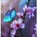 writingislife20 avatar