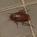 writingisworms avatar