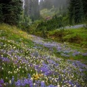 writingmirrored avatar