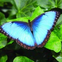 writingpromptsraincloudsx avatar