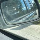 writingramblesandrandomness avatar