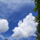 writingwhatswrong avatar