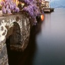 written-in-wonder avatar