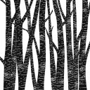 written-on-the-trees avatar