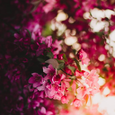 writtenbyjenn avatar