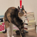 wrotelovelytears avatar