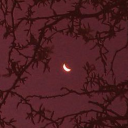 wslstruggling avatar