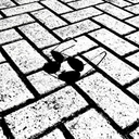 wtf-is-this-username-iamcon-blog avatar