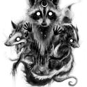 wtfhascanadabecome avatar