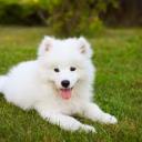 wtnv-enthusiast avatar