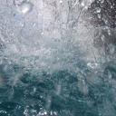 wtwtrfspacie0x avatar