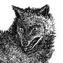 wulfbones avatar