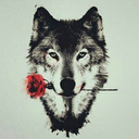 wuschels-world avatar