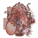 wuthering-edits avatar