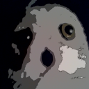 wuuruvu avatar
