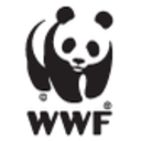 wwf avatar