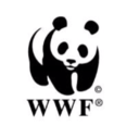 wwf-official avatar