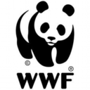 wwfdeutschland-blog avatar