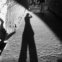 wwherethewildthingsgo avatar