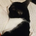 wwhhoovviiaann avatar