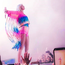 wwildest-dream avatar