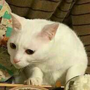 wwwdotbeansdotcom-moved avatar