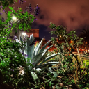 wyomingdagama avatar