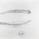 wyomingpolytechnic avatar