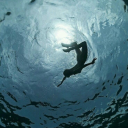 wyrdwisewoman avatar