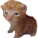 wyrms-in-formaldehyde avatar