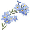 x-forget-me-not-x avatar