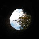 xanax-e-fiori avatar