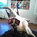 xander-sevenseas-blog avatar