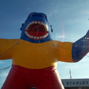 xanexcaligula avatar