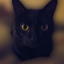 xanthippethecat avatar