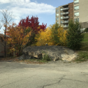 xanthousflame avatar