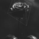 xash-guardians avatar